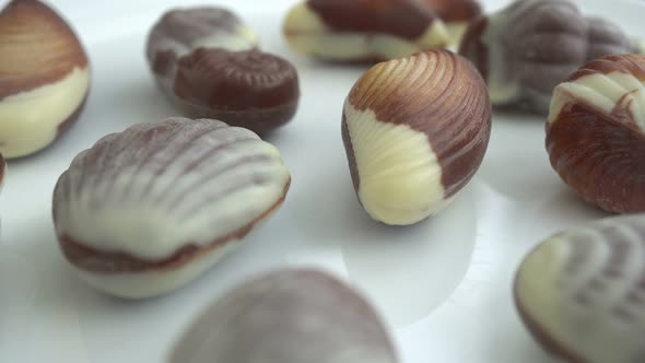 Rotation Seashell Chocolates Background 3