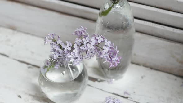 Two Bouquet of Lilac Flowers in Zinc Pots on a White Wooden Board Home Decor in a Rustic Style