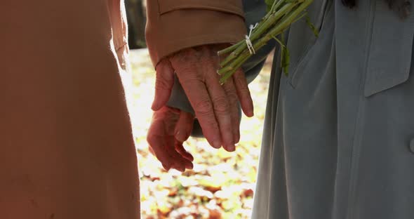 Close Elderly Couple Holding Hands While Walking Together in Autumn Park