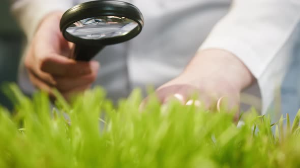 Professional Gardener in White Gown Checking Grass Quality with Magnifier Touching Green Sedge