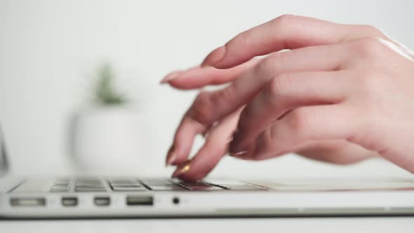 Female Hands Typing on Laptop Keyboard Closeup