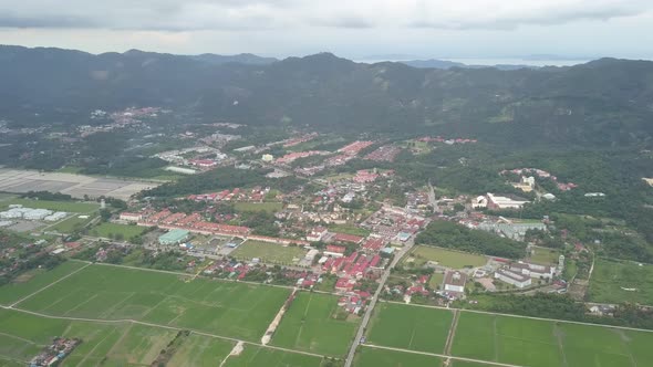 Aerial view green paddy field