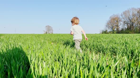 Boy Run in the Fresh Spring Field View From Behind