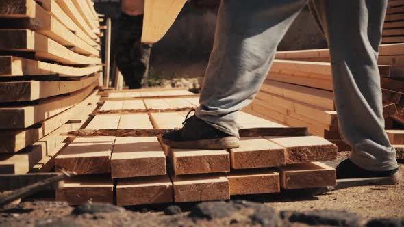 Two Male Workers Stacking Long Wooden Timber Boards for Drying Outdoors