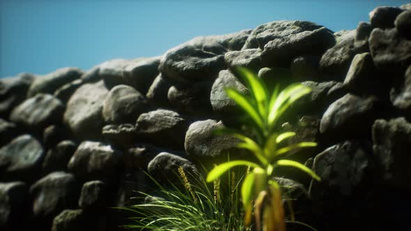 Grass and Stone Wall in the North of England Countryside