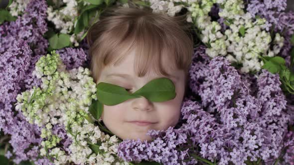 Cute Girl Child Looking From Bunch Bouquet of Lilac Flowers Around Her Face