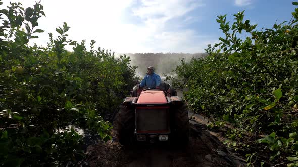 Tractor spraying pesticide and insecticide on lemon plantation