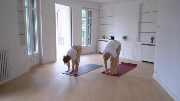 Serene couple doing yoga together in room