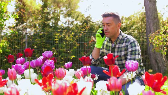 Middle-aged Man with Smartphone at Flower Garden