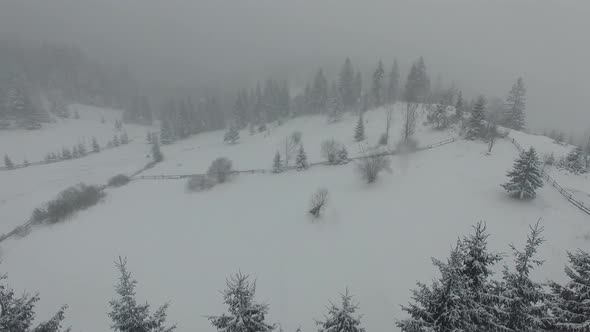 Aerial Snow Covered Trees Drone Footage Landscape Winter Nature Beautiful Europe Forest Mountain