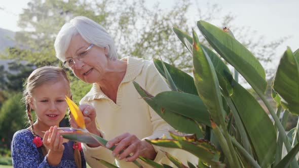 Little girl touching flower and grandmother showing her flowers 4K 4k