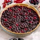 Sweet Delicious Homemade Forest Berry Tart - VideoHive Item for Sale