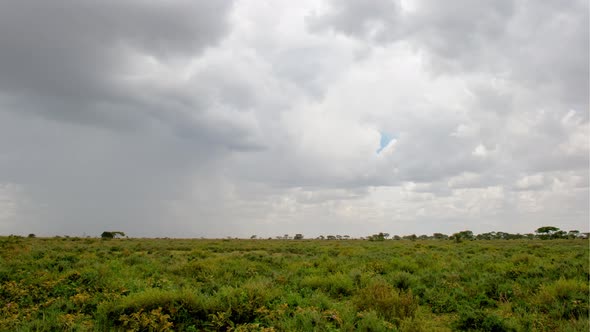 Timelapse of Serengeti landscape with a Wildebeest scull in front.