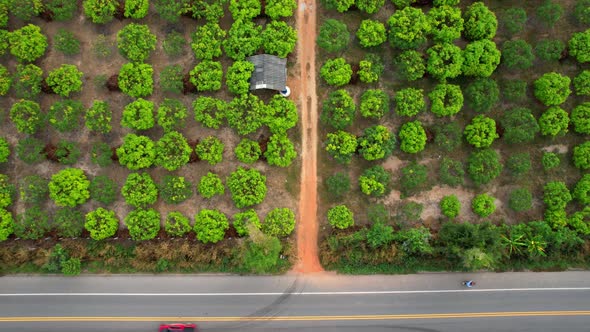 4K Aerial view over a farmer's garden. A car drives on a road near a garden in rural Thailand.
