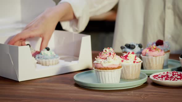 Woman Chef Putting Decorated Cupcakes with Berries and Confetti Into Box Closeup