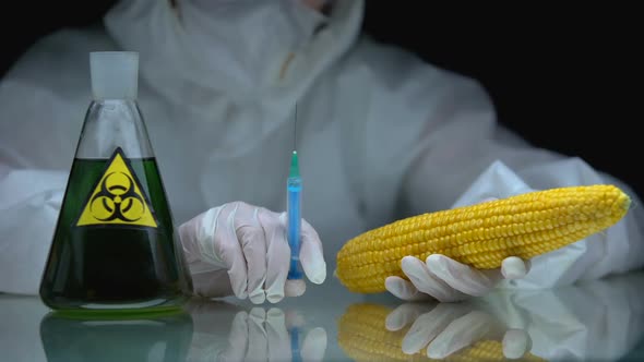 Biologist Holding Syringe and Corn, Flask With Biohazard Liquid on Table, Toxin