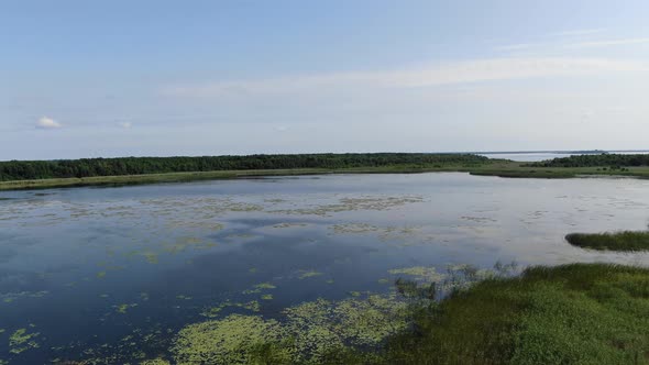 Aerial View of Beautiful Lake on a Sunny Day