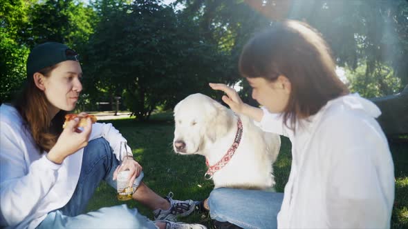 Company of Beautiful Young People and Dog Having an Outdoor Lunch