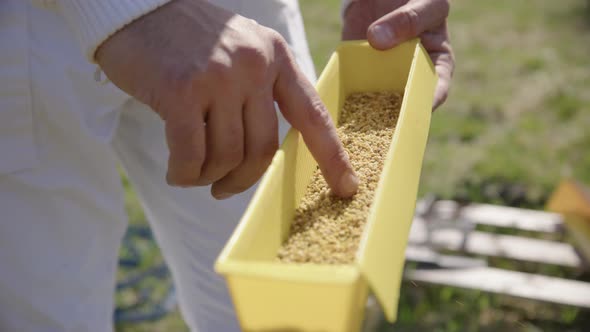 BEEKEEPING - A pollen trap used in beehives in an apiary, slow motion close up