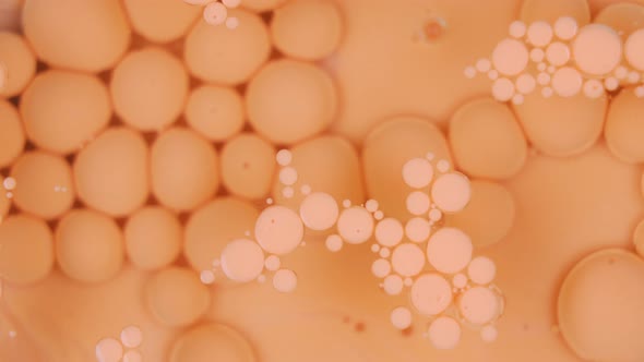 Floating Orange Acrylic Paint Bubbles Background