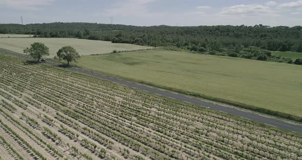 Aerial Lowering Drone Shot of a Rural Road Revieling the Beautiful View