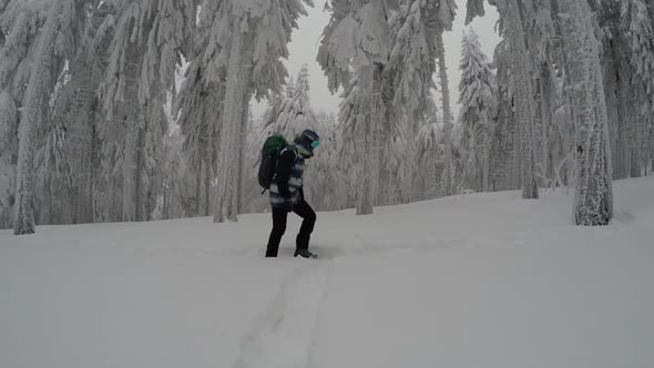 Climbing In A Spectacular Snowy Mountain Forest