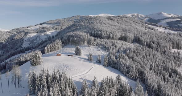 Drone Over Forests On Kitzsteinhorn Mountain