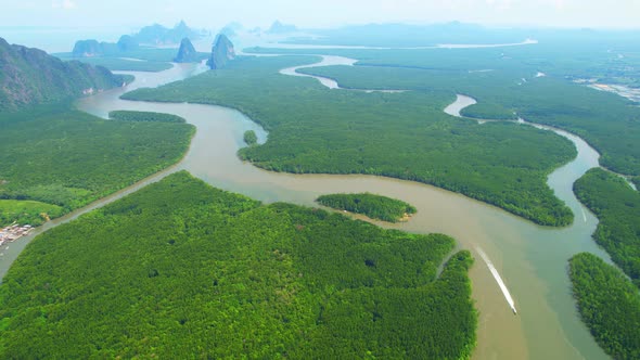 Drones are flying over winding rivers and large mangrove forests