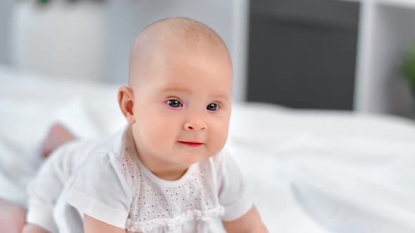 Cheerful Cute Little Boy or Girl Crawl on Comfortable Bed