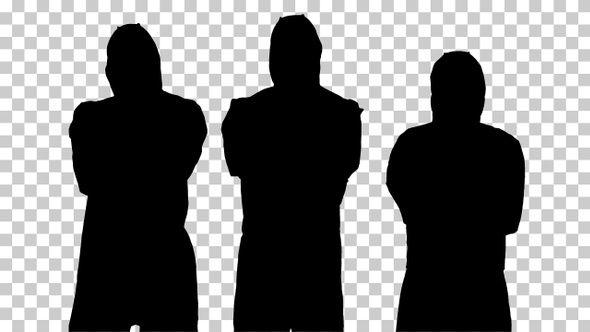 Silhouette Team of scientists or doctors, Alpha Channel alt
