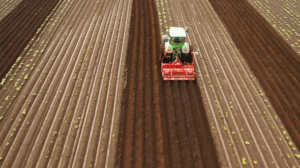 Tractor Cultivates the Land in the Field