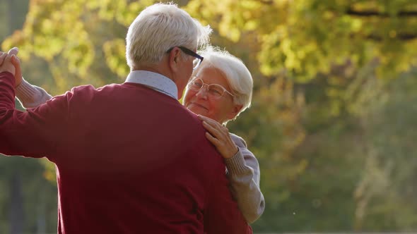 Happy Old Couple Dancing in Autumn Park  Medium Shot