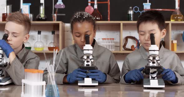 Lesson in a Modern School, Kids Look at Microscopes and Communicate in a Chemistry Lesson, the