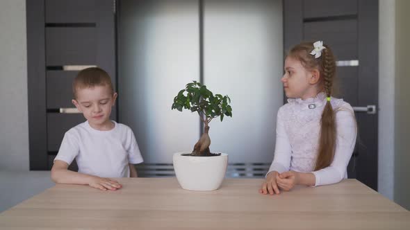 Children at Home and a Flower in a Pot. Little Girl and Boy - Gardener with Plants in the Room at