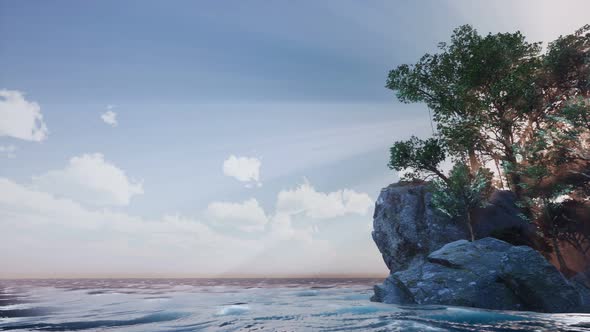 Rocky Island with Trees As Ocean