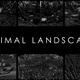 Minimal Landscape - VideoHive Item for Sale