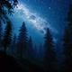 Sky full of Stars in a forest HD - VideoHive Item for Sale