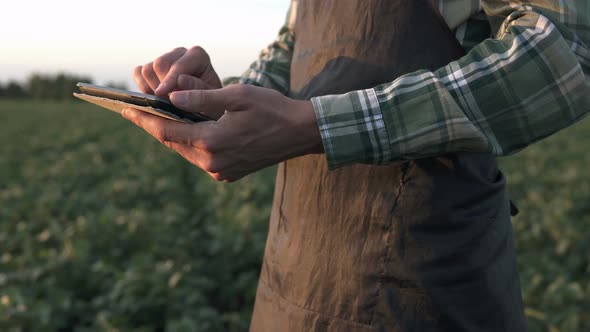 A young agronomist in a soybean field checks the crop and writes information on a tablet.