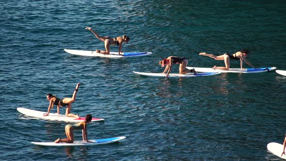Group of Young Womens in Swimsuit Doing Yoga on Sup Board in Calm Sea Early Morning