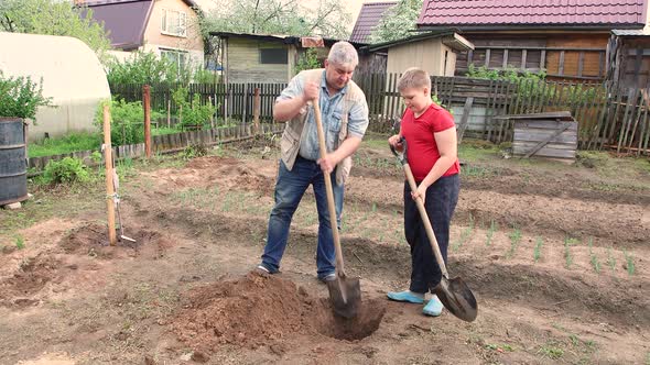 Friendly Father and Son Deftly Dig a Hole for Planting a Tree