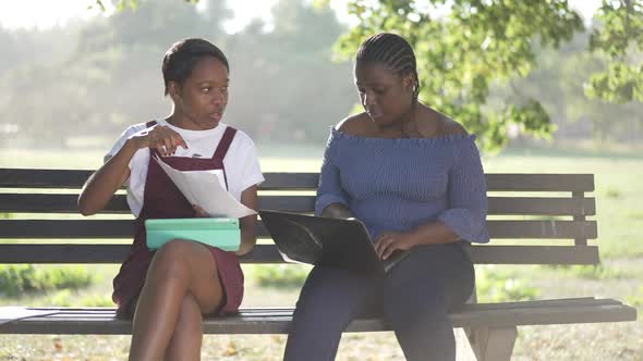 Busy Absorbed African American Female Students Sitting on Bench in Sunshine Talking in Slow Motion