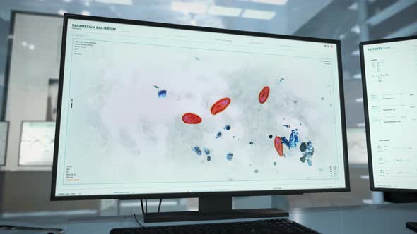 Microscopic Paramecium Bacteria System Study Using Advanced Biotechnology alt