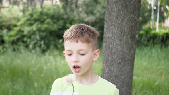 Boy Blowing on Dandelion Beautiful Sunset Light