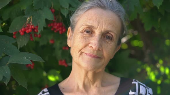 Beautiful Old Grandmother with Grey Hair and Face with Wrinkles is Looking at the Camera with Smile