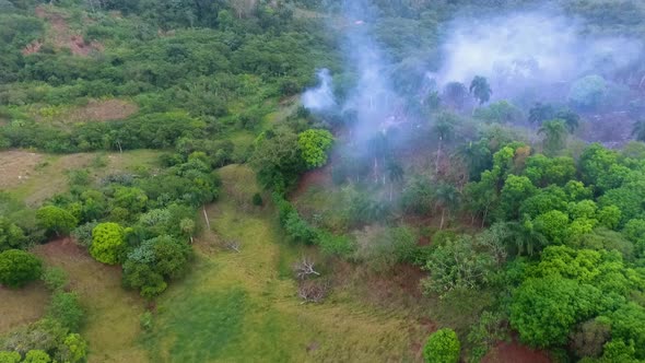 Aerial view towards smoke and burnt woods, in the tropical Jungles of Central Africa - dolly, drone