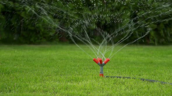 The Grass Lawn in the Backyard of the House is Watered with a Sprinkler System on a Summer Day