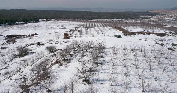 Aerial view of a dry vineyard in the snow, Golan Heights, Israel.