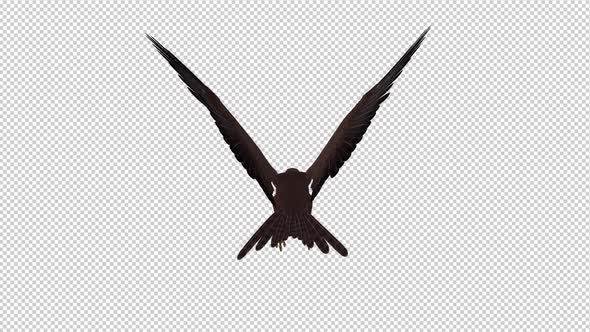 Tropical Kite - Flying Loop - Back View alt