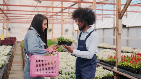 Greenhouse or Eco Market with Fresh Blooming Seedlings