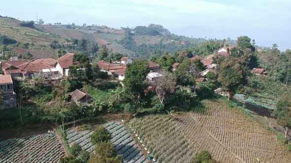 Aerial Clip of Cultivated Farm Field on a mountain